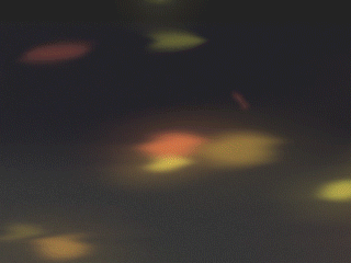 JPMC_HK_MidAutumnFestival