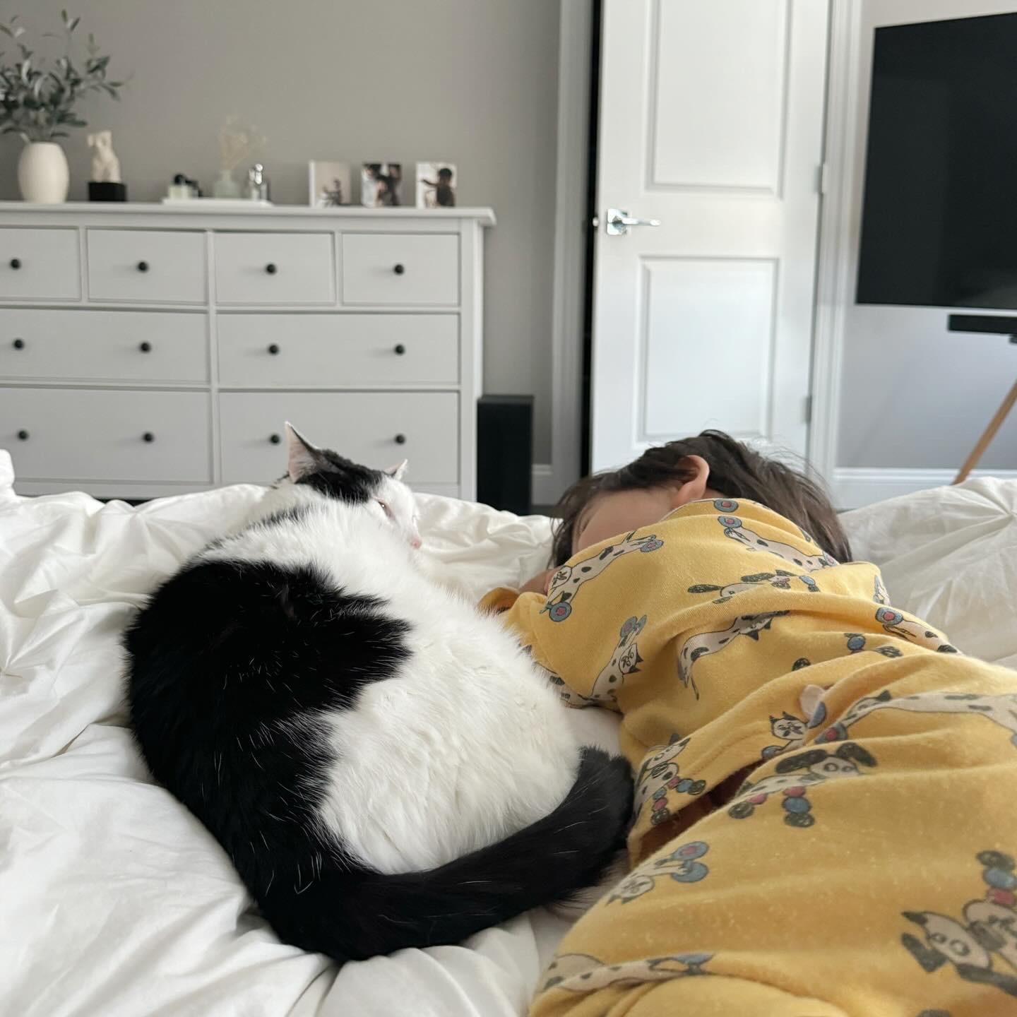 EF5F1EB3-9B18-40EB-93E9-5124A85DE2BF